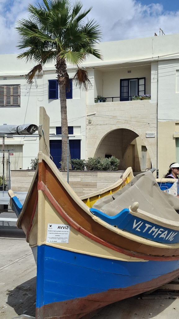 20250918 120606 (Copy)